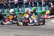 20110501_ales_agnus (3087)